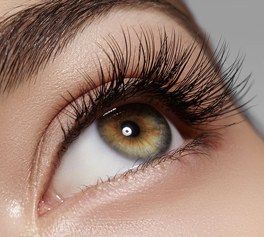 How We Can Help Lash Styling -My Rejuvenate