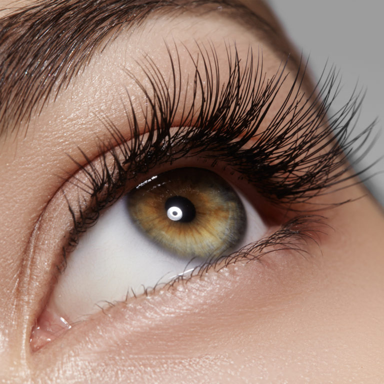 My-Rejuvenate-Lash-Brow-Styling-1